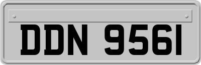 DDN9561