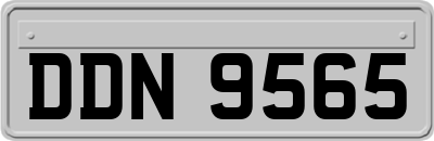 DDN9565
