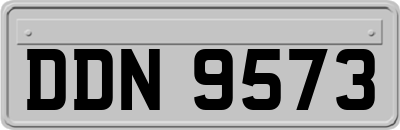 DDN9573