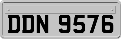DDN9576