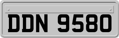 DDN9580