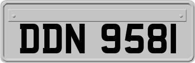 DDN9581