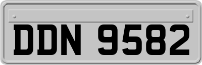 DDN9582