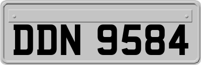 DDN9584