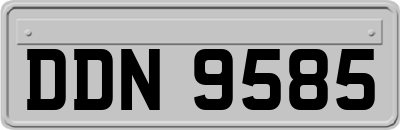 DDN9585