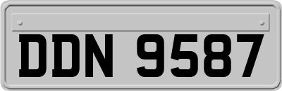 DDN9587
