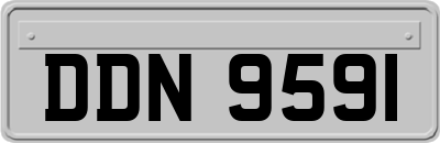DDN9591