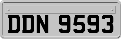 DDN9593