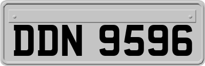 DDN9596