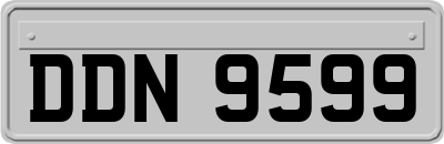 DDN9599