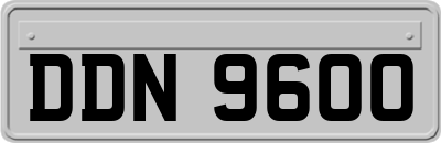DDN9600