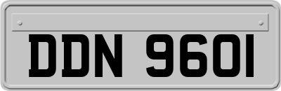DDN9601