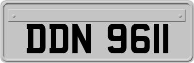 DDN9611