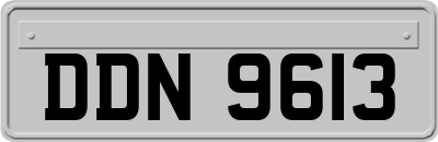 DDN9613