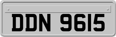 DDN9615