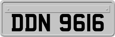 DDN9616