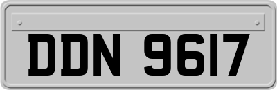 DDN9617