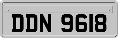DDN9618