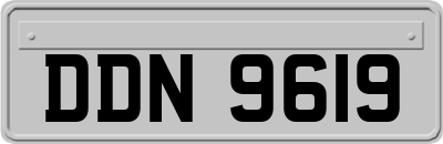DDN9619