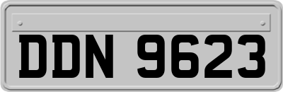 DDN9623