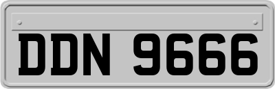 DDN9666