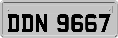 DDN9667
