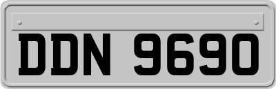 DDN9690