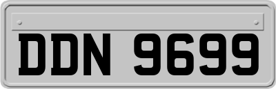 DDN9699