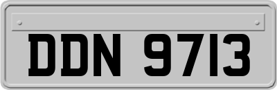 DDN9713