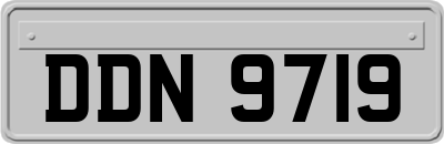 DDN9719