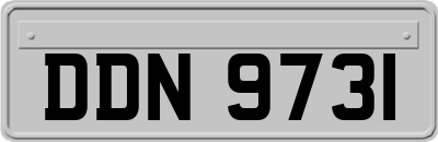 DDN9731