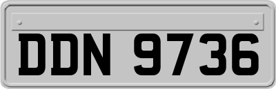 DDN9736