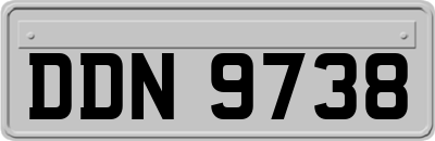 DDN9738