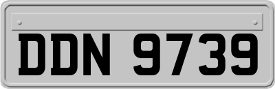 DDN9739