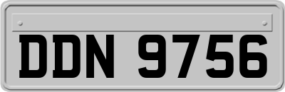 DDN9756