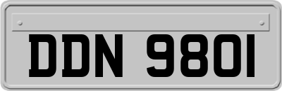 DDN9801