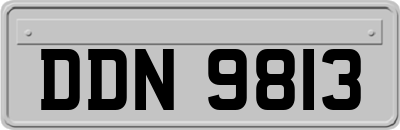 DDN9813