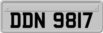 DDN9817
