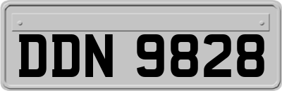 DDN9828