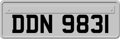 DDN9831