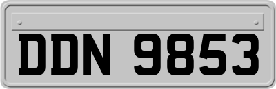 DDN9853