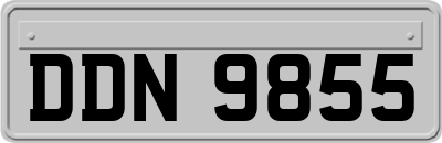 DDN9855