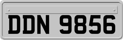 DDN9856