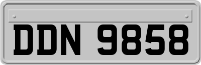 DDN9858