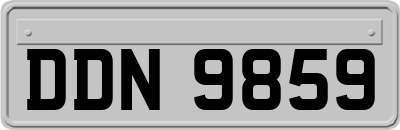 DDN9859