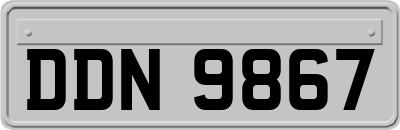 DDN9867