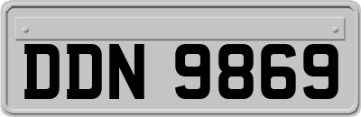 DDN9869
