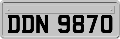 DDN9870