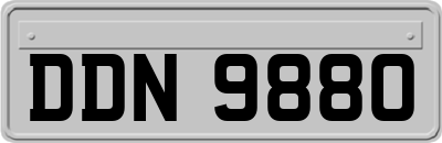 DDN9880