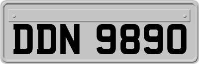 DDN9890